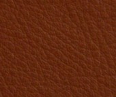 cognac